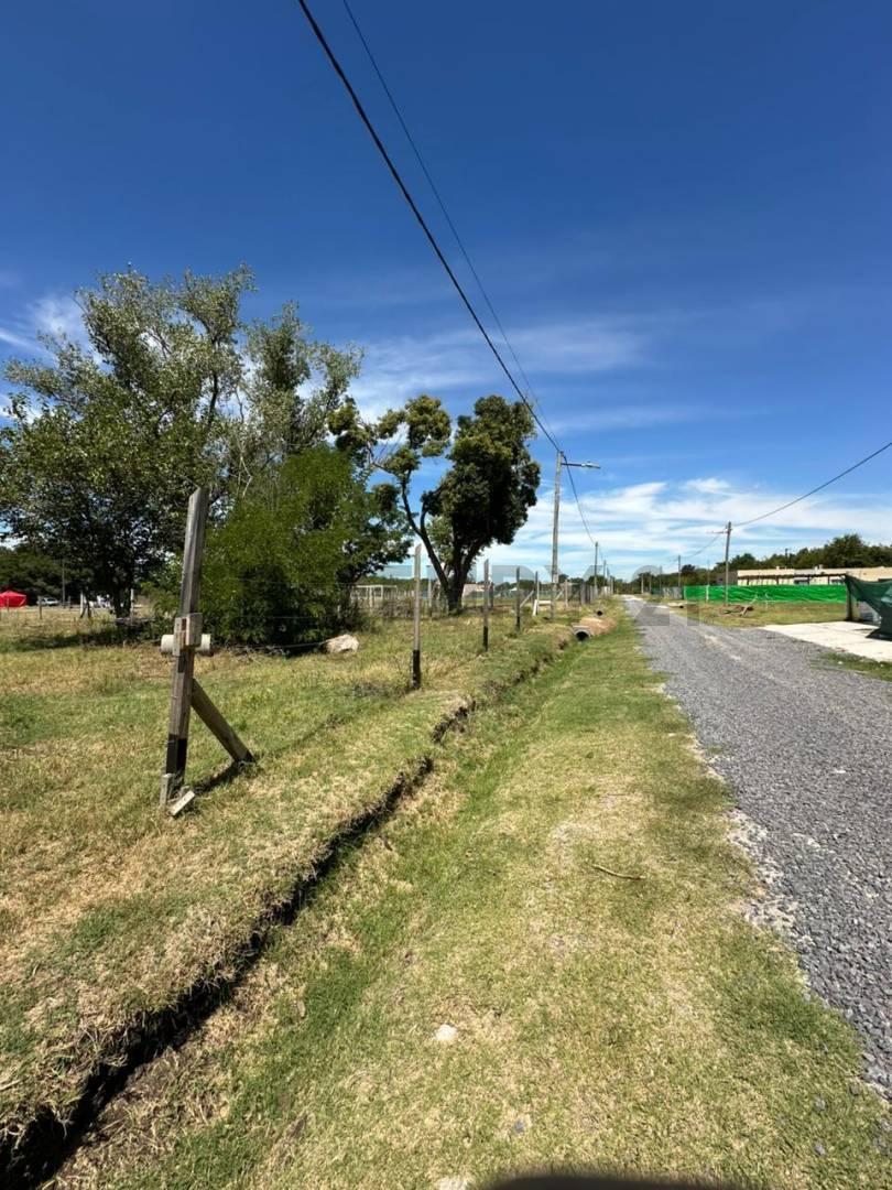 Foto de VENTA LOTE, imagen 5