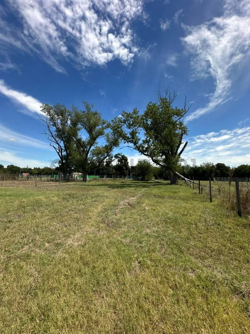 Foto de VENTA LOTE, imagen 3