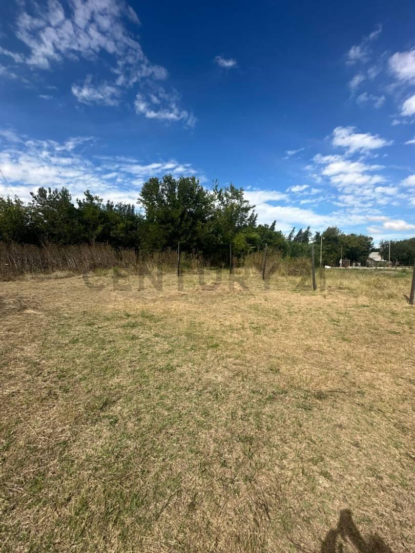 Foto de VENTA LOTE 250 M2 LOS FRESNOS - LA PLATA, imagen 5