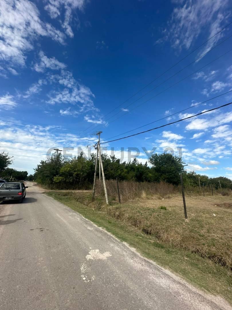 Foto de VENTA LOTE 250 M2 LA PLATA, imagen 5