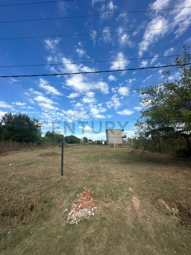 Foto de VENTA LOTE 250 M2 LA PLATA, imagen 3