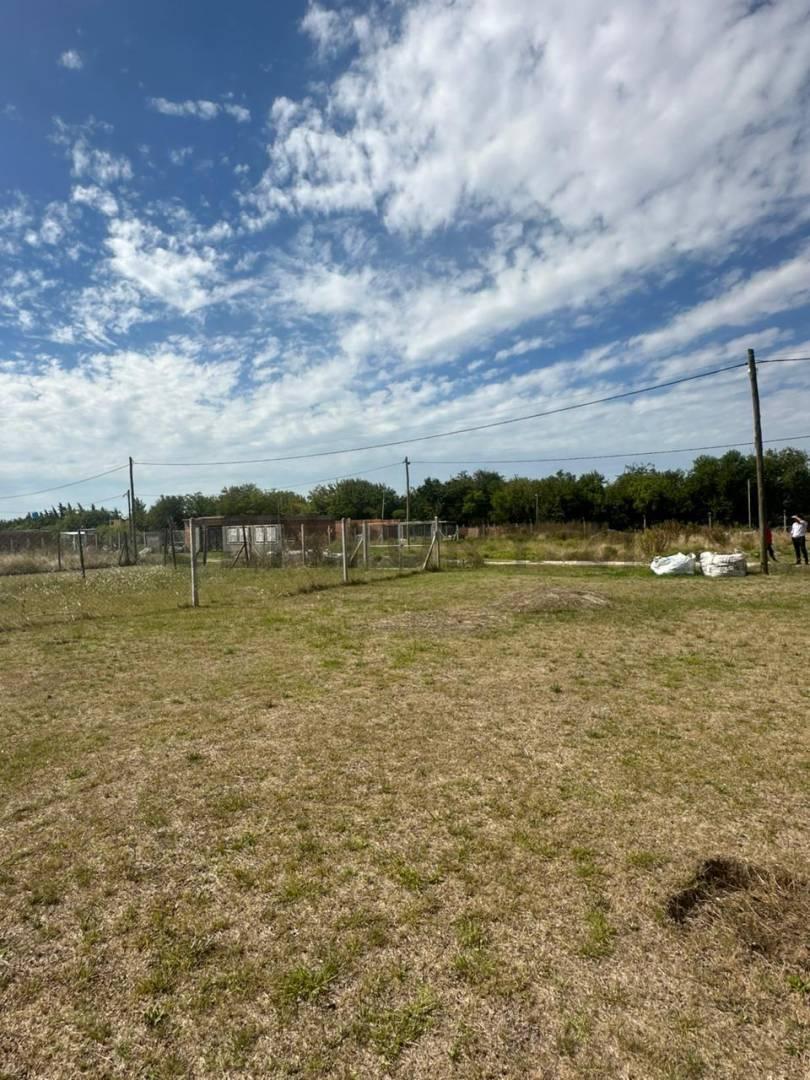 Foto de VENTA LOTE 250 M2 BARRIO LOS FRESNOS, imagen 4