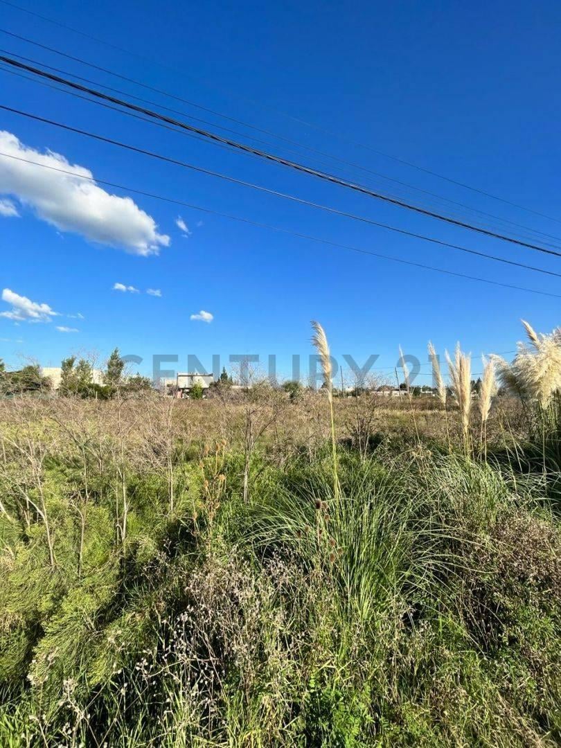 Foto de Venta lote en Villa Castells, Gonnet, La Plata. APTO CREDITO, imagen 4