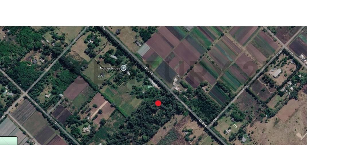 Foto de Venta dos hectáreas en Abasto, La Plata, imagen 5