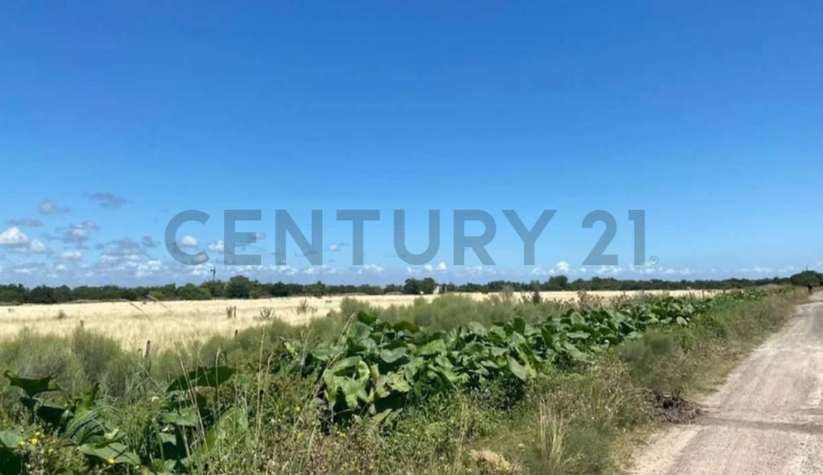Foto de Lote de 19 hectareas en Punta Lara, Ensenada, imagen 1