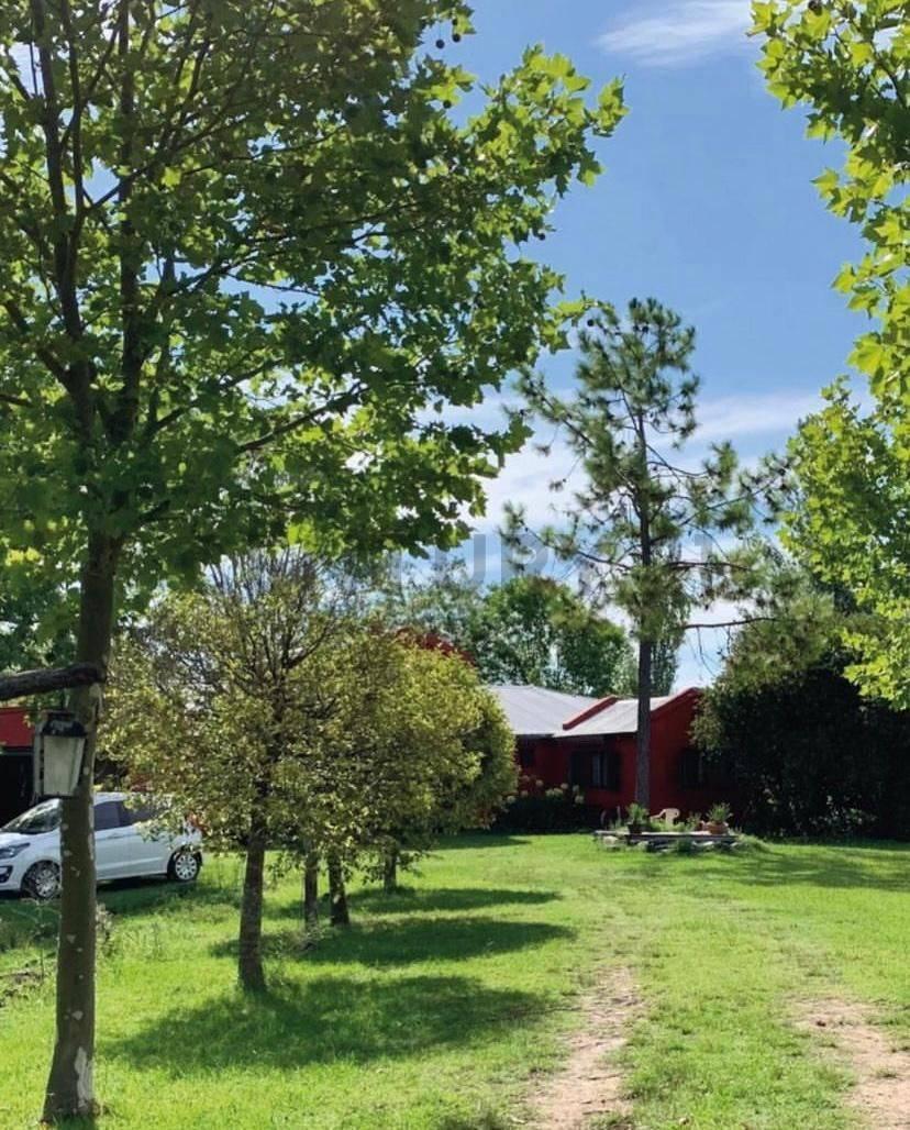 Foto de Venta de Casa, tres dormitorios en Abasto, La Plata., imagen 5