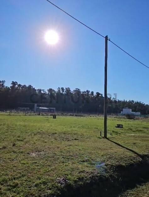 Foto de Lote a la venta en Barrio El Capricho, imagen 5