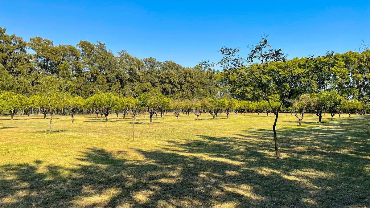 Terreno en Azahares del Paraná 5