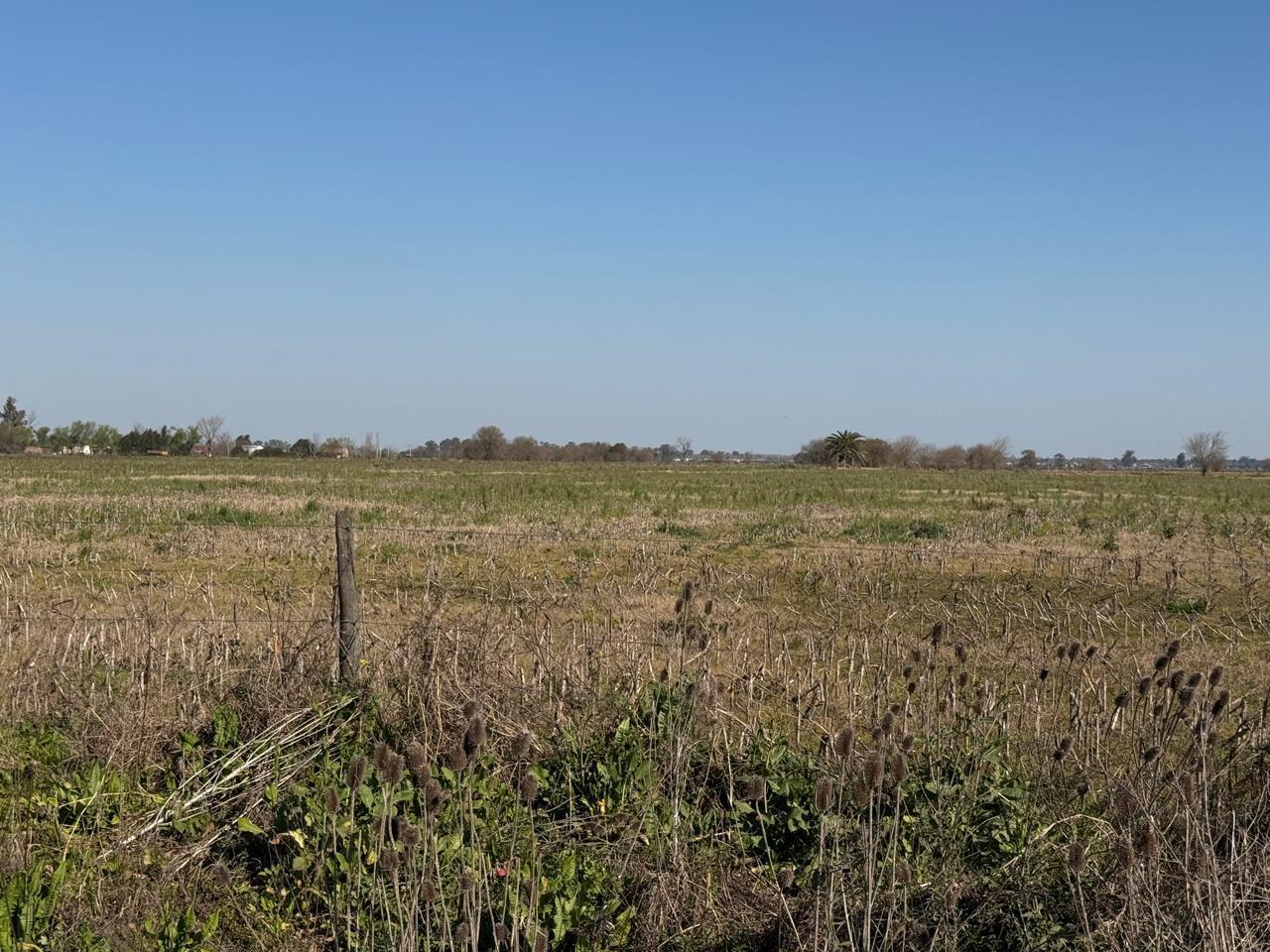 Foto de Campo en venta en ibarlucea, imagen 3