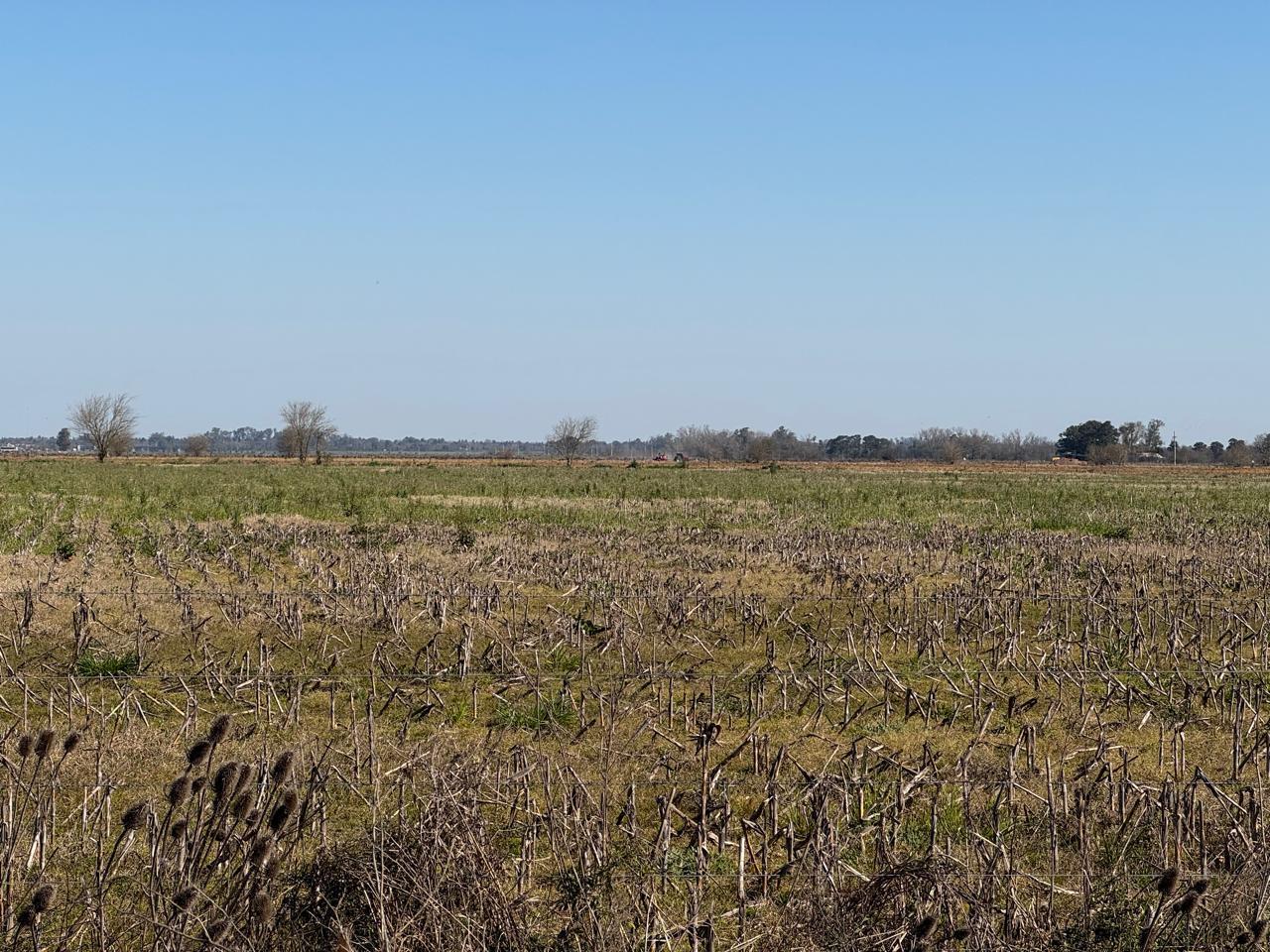 Foto de Campo en venta en ibarlucea, imagen 5