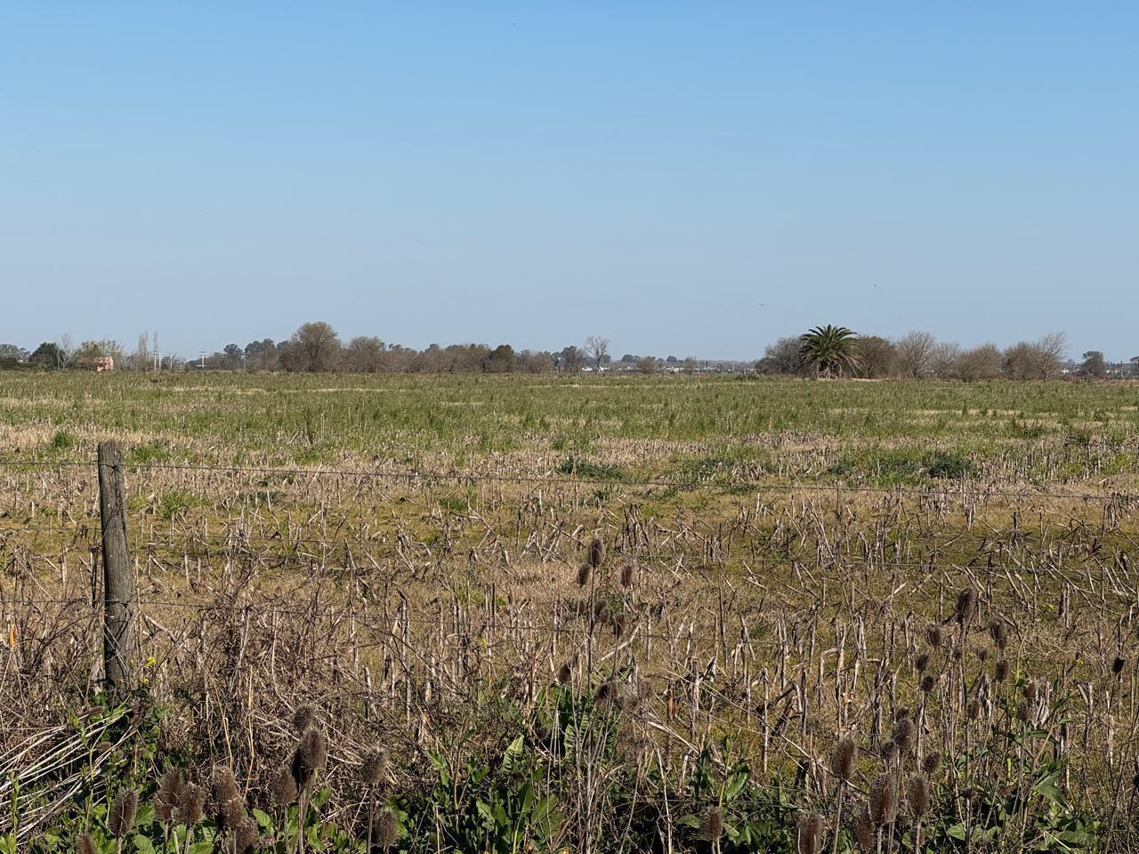 Foto de Campo en venta en ibarlucea, imagen 1