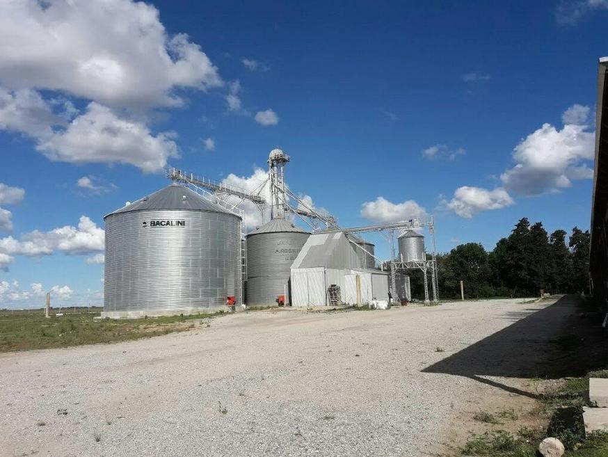 Foto de Planta de silos y galpón Serodino, imagen 3