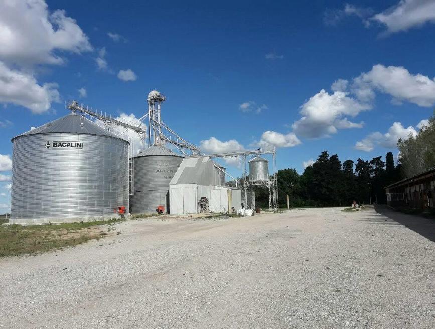 Foto de Planta de silos y galpón Serodino, imagen 5