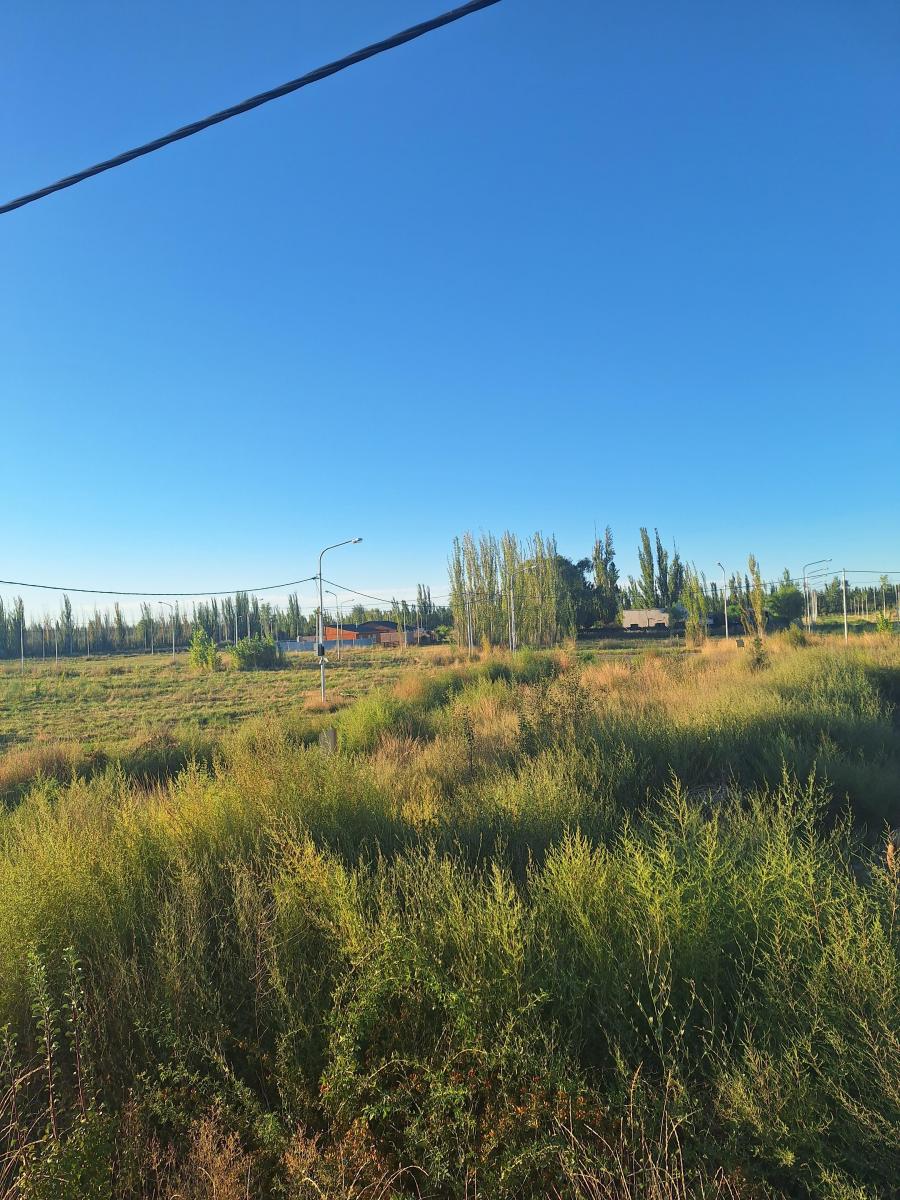 Terreno en Venta en Allen Loteo Don Federico Rio Negro 5
