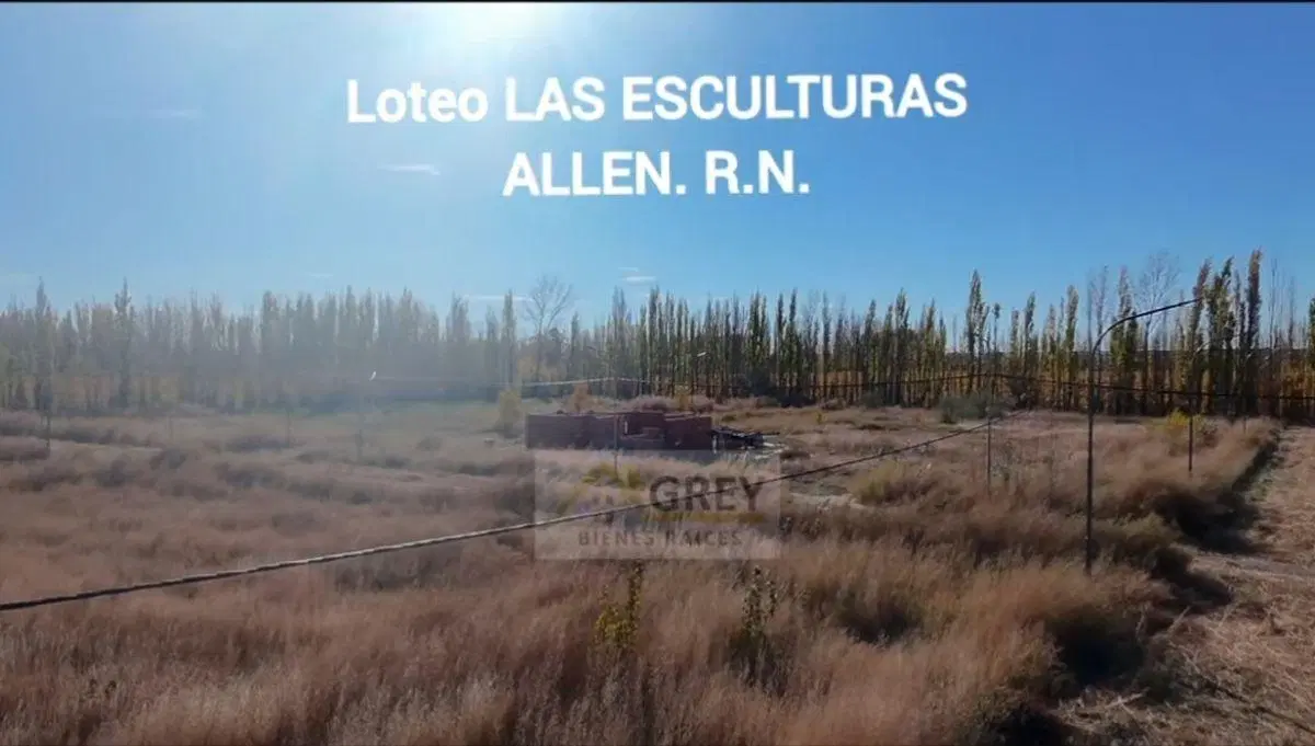 Lote en esquina de 292 mts - Parque Las Esculturas | Allen (Frente a la Luisa) 4