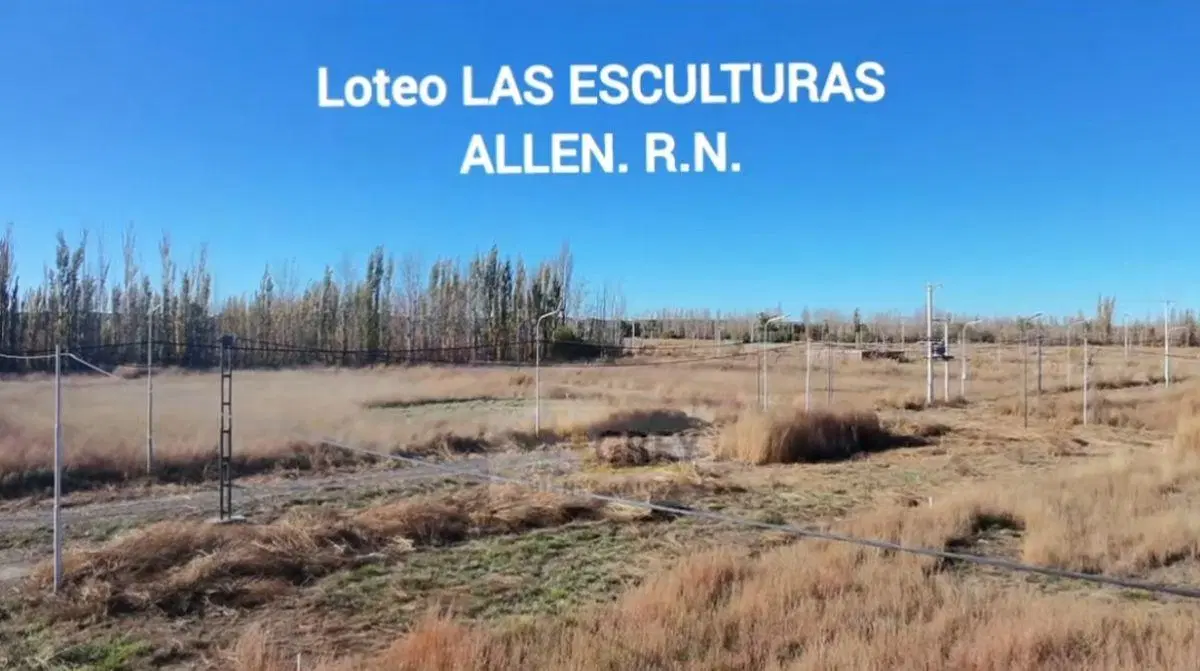 Lote en esquina de 292 mts - Parque Las Esculturas | Allen (Frente a la Luisa) 5