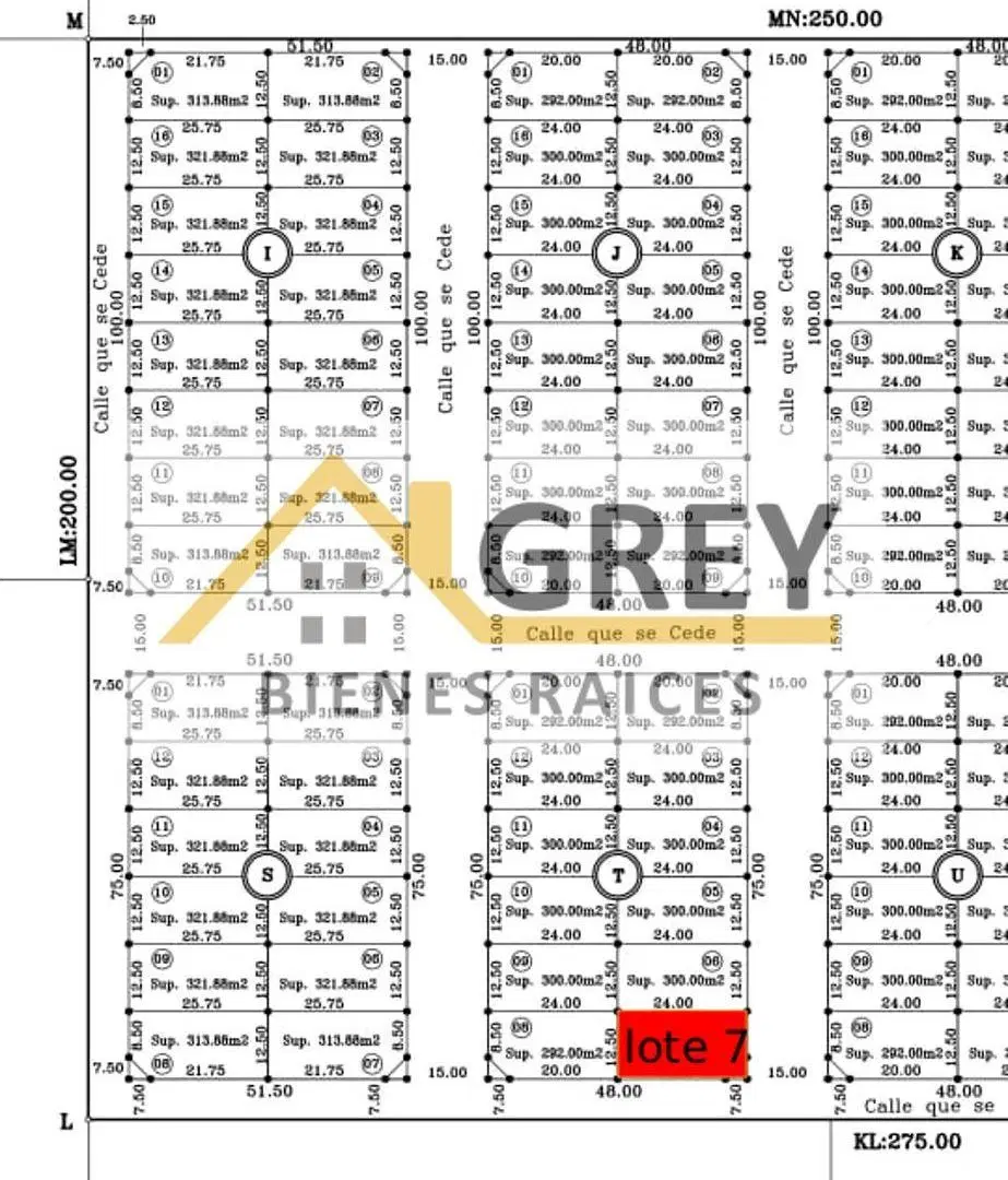 Lote en esquina de 292 mts - Parque Las Esculturas | Allen (Frente a la Luisa) 3