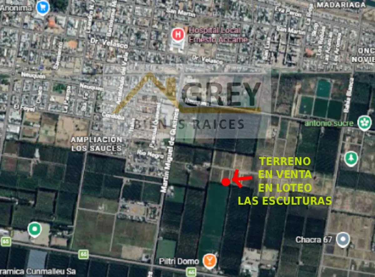 Lote en esquina de 292 mts - Parque Las Esculturas | Allen (Frente a la Luisa) 2