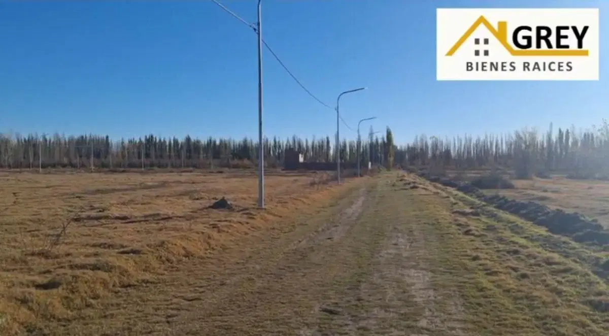 LOTES DESDE 315 MTS A 399 MTS - DON LORENZO | ACCESO MARTIN FIERRO Y RUTA 65. ALLEN. RIO NEGRO 7