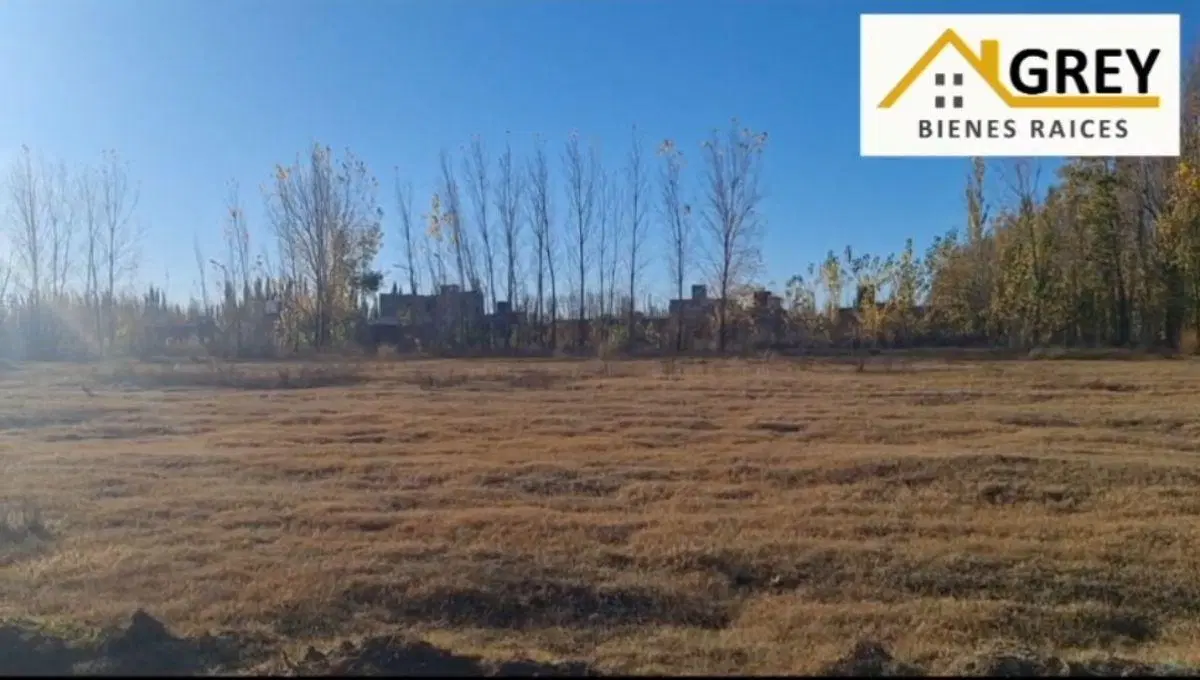 LOTES DESDE 315 MTS A 399 MTS - DON LORENZO | ACCESO MARTIN FIERRO Y RUTA 65. ALLEN. RIO NEGRO 3