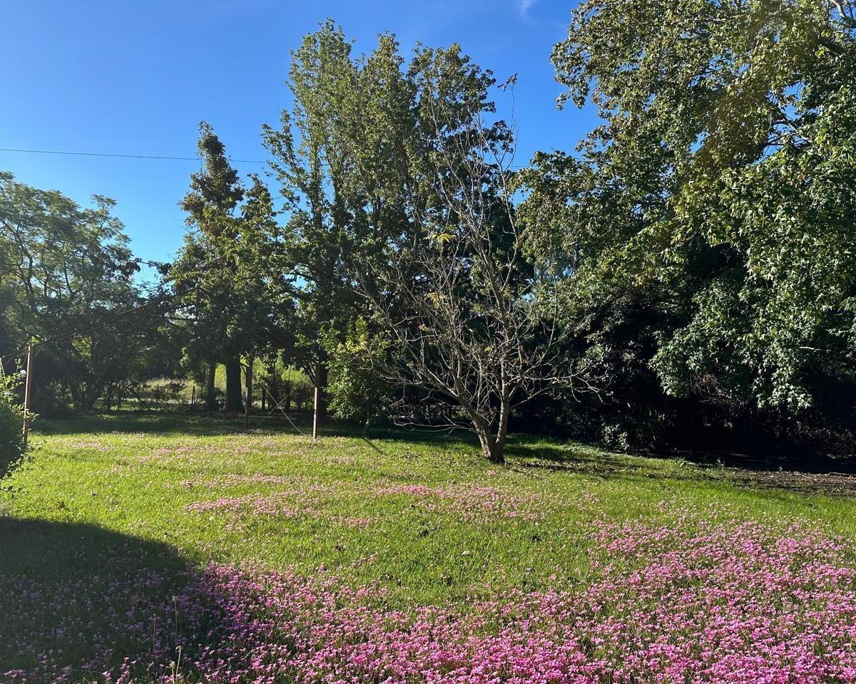 Foto de Terreno en venta en El Cazador ID 5387, imagen 2