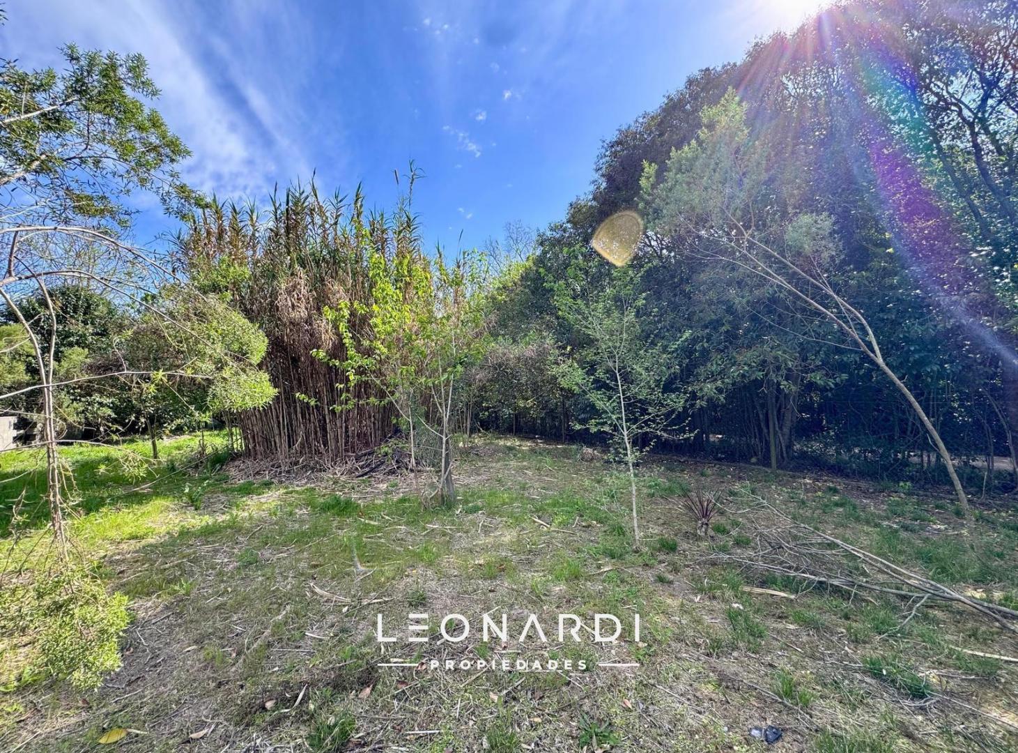 Foto de Lote en venta en Loma Verde - ID 6182, imagen 2