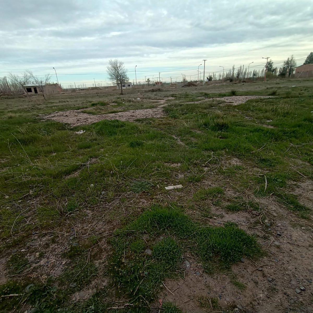 Terreno en General Fernandez Oro 5