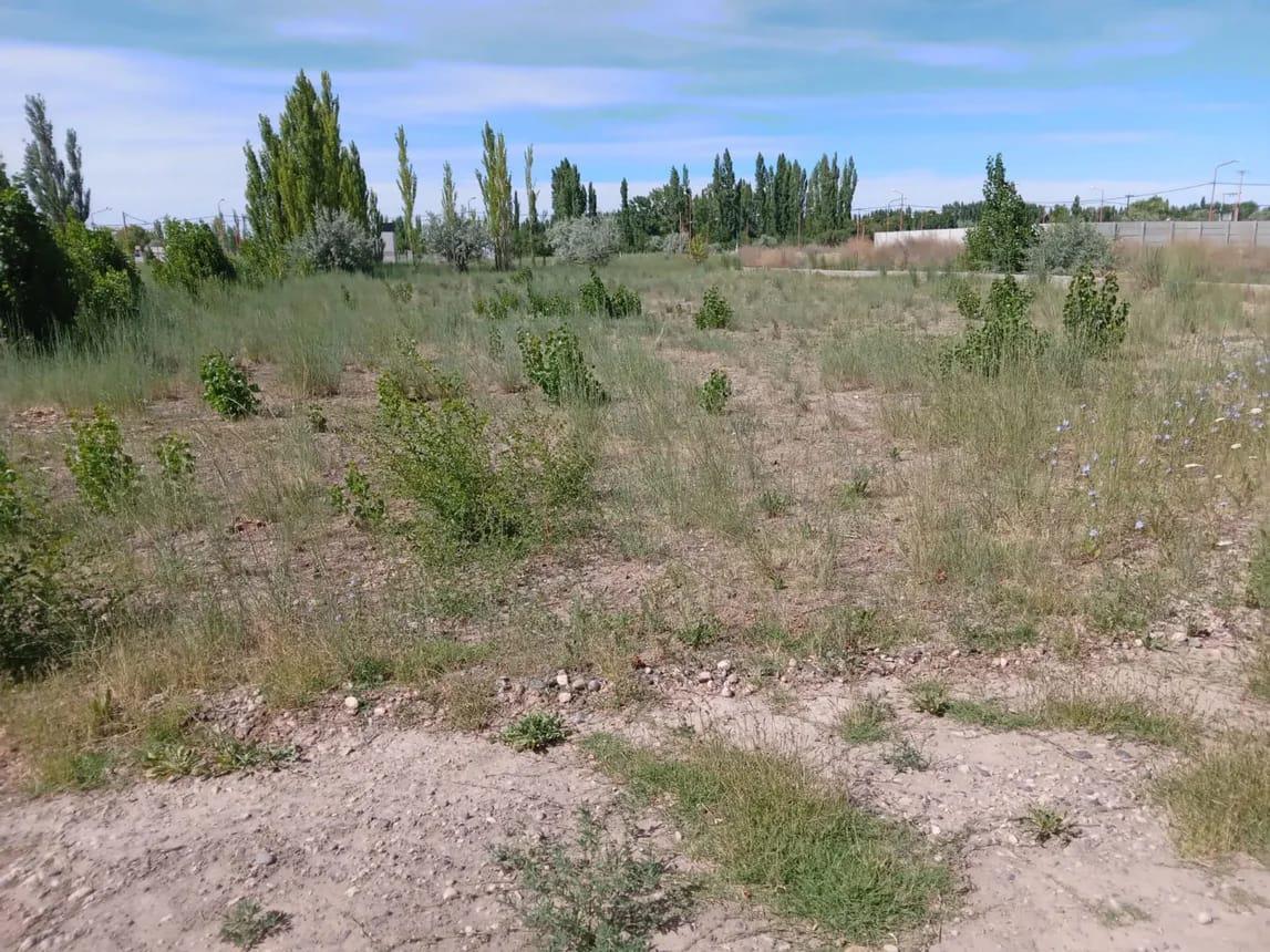 Terreno en Venta Loteo La Viña F Oro 1