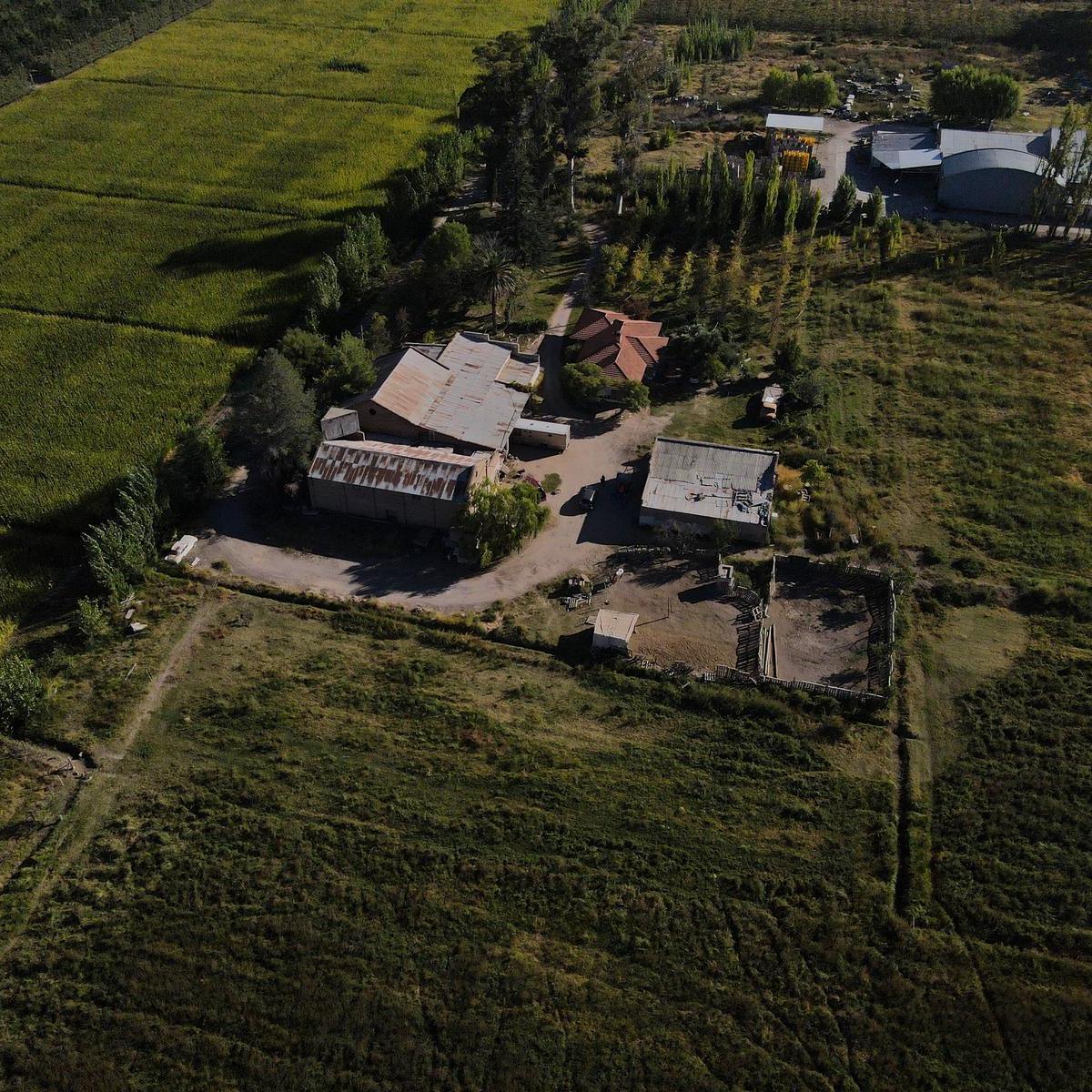 Terreno en Allen - Rio Negro 4