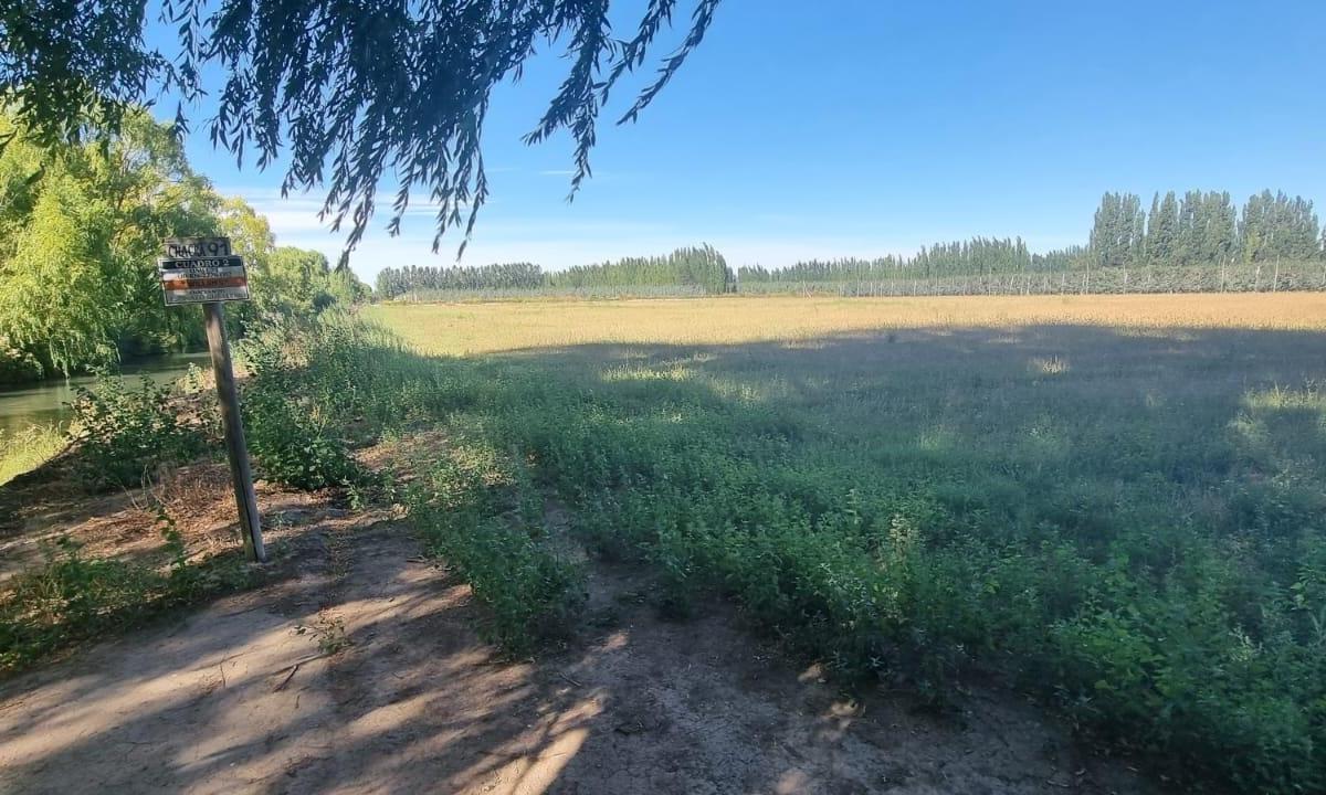Chacra en Produccion en Venta, Patagonia Argentina 5