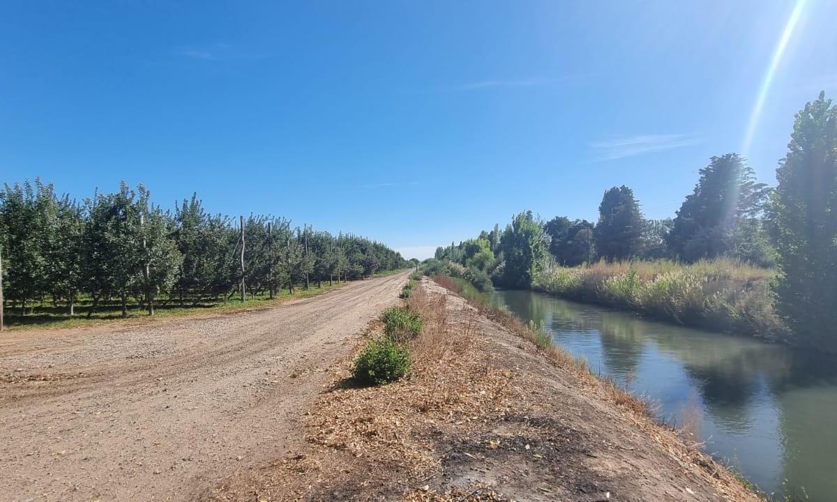 Chacra en Produccion en Venta, Patagonia Argentina 4