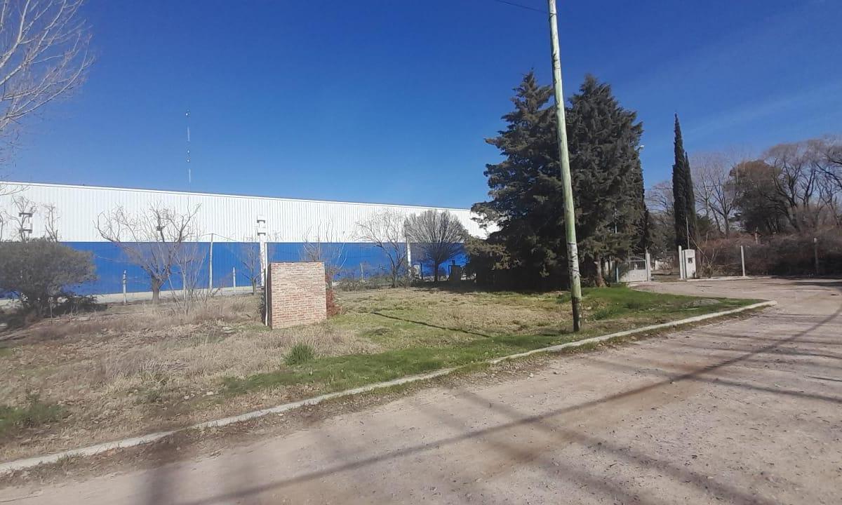 Terreno en  Venta, Barrrio Los Tilos, General Roca.