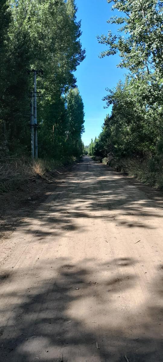 Chacra en Venta, Villa Regina 4