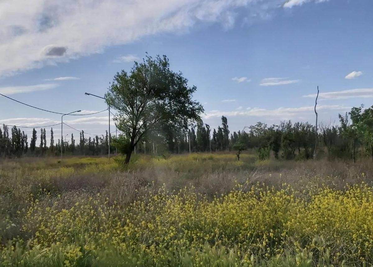 TERRENO EN LOTEO DON VICENTE DE NEUQUEN