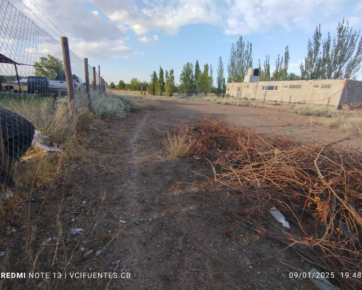 Terreno en  venta en colonia san francisco