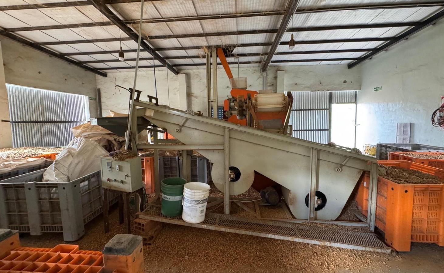 Chacra en Venta San Patricio del Chañar