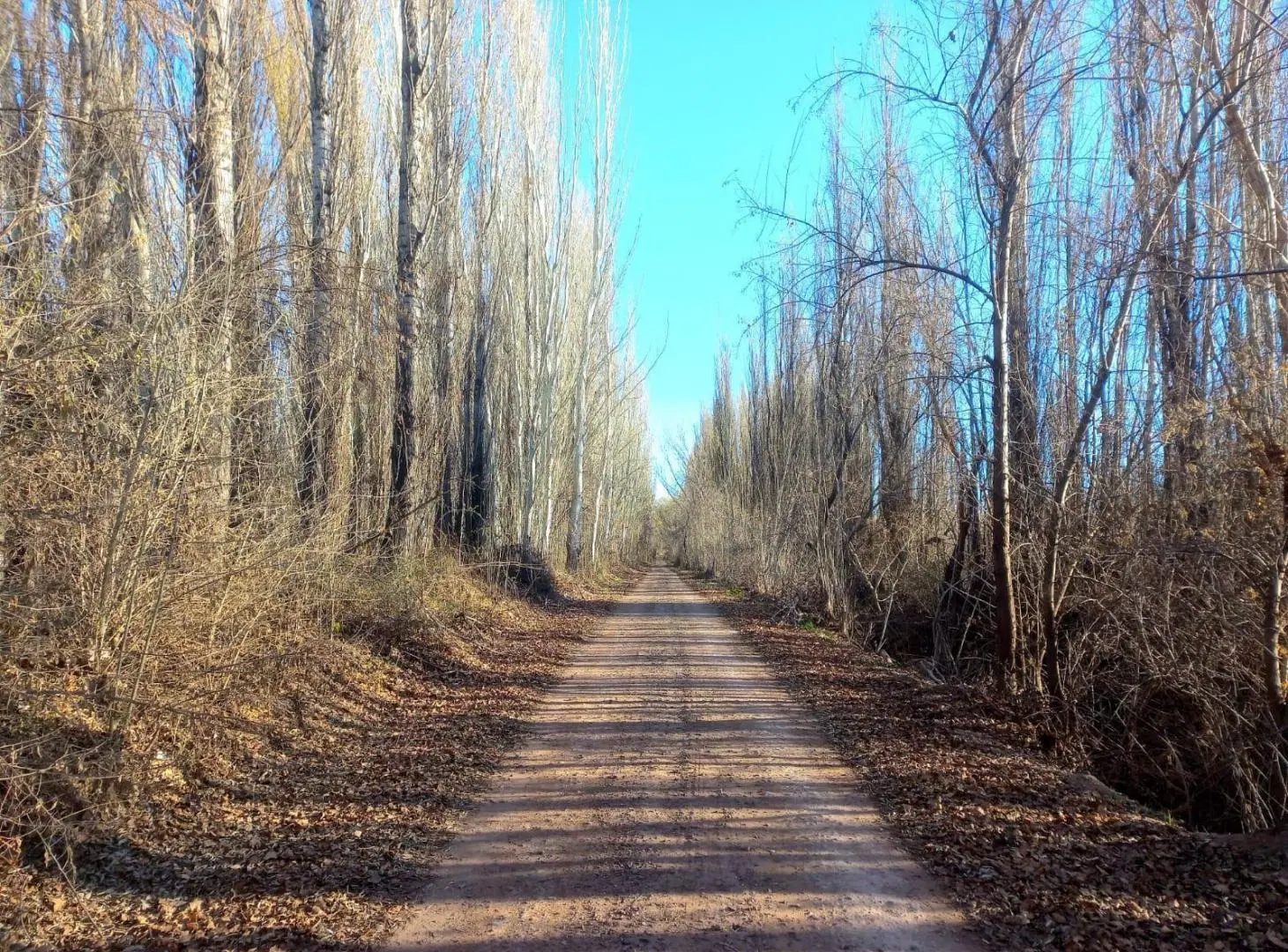Chacra 1 Hectárea, a 1 km de ruta 7 8