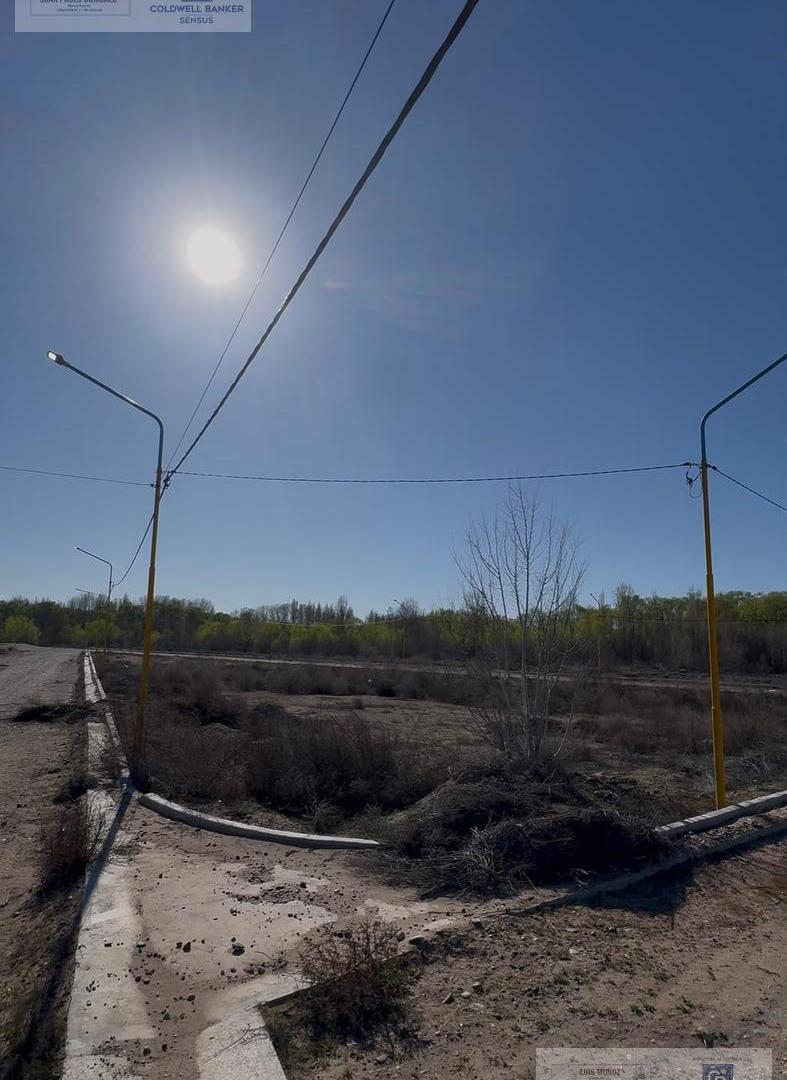 Foto de Terreno en Prima Terra, imagen 3