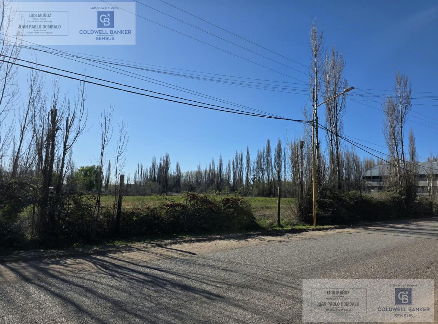 Foto de Chacra en Vista Alegre Sur, imagen 5