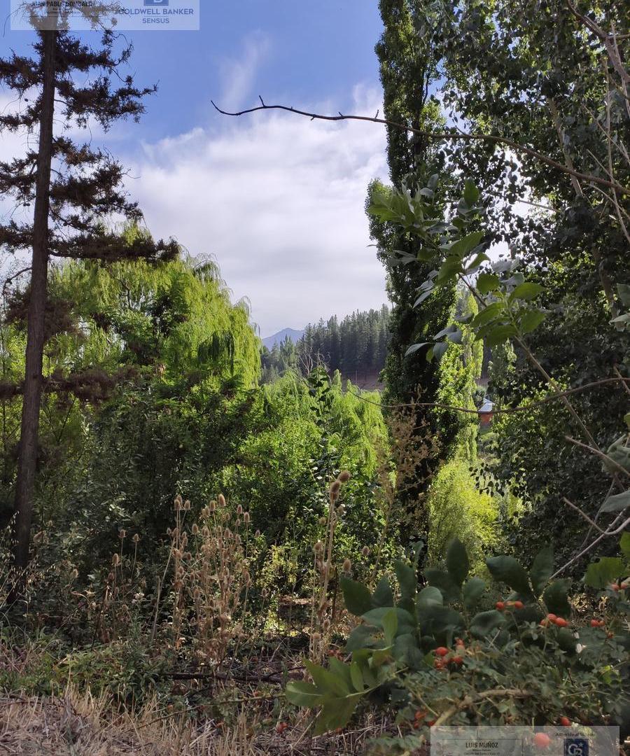 Foto de Se vende lote apto desarrollo turístico en Huinganco, imagen 1