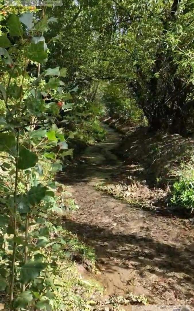Foto de Se vende lote apto desarrollo turístico en Huinganco, imagen 2