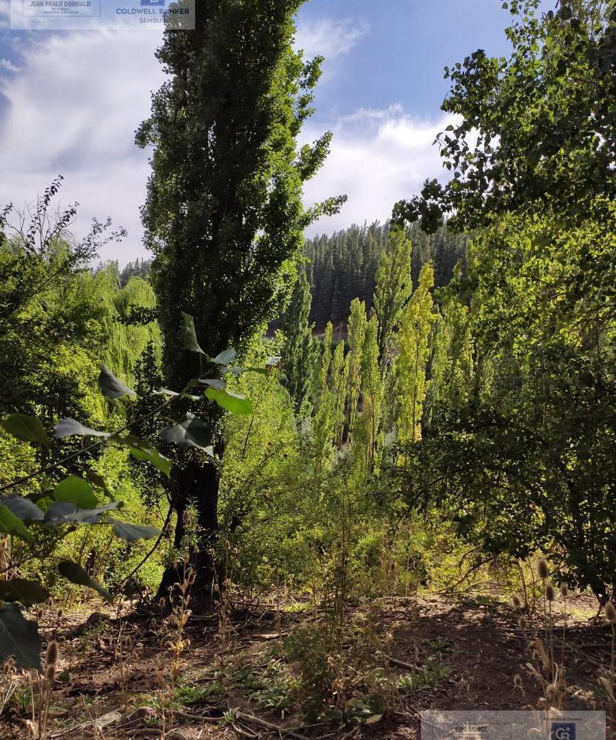 Foto de Se vende lote apto desarrollo turístico en Huinganco, imagen 4