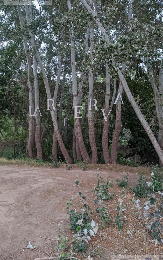 Foto de Terreno en Capital, imagen 1