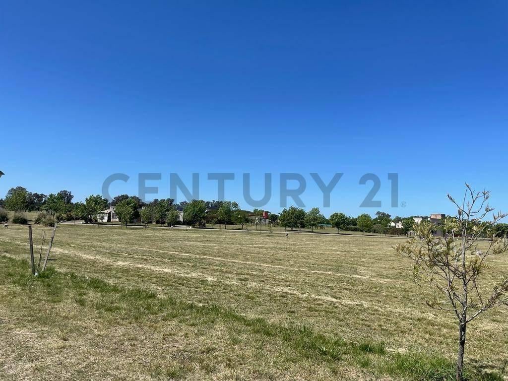 Foto de VENTA LOTE EN RUTA 2, imagen 4