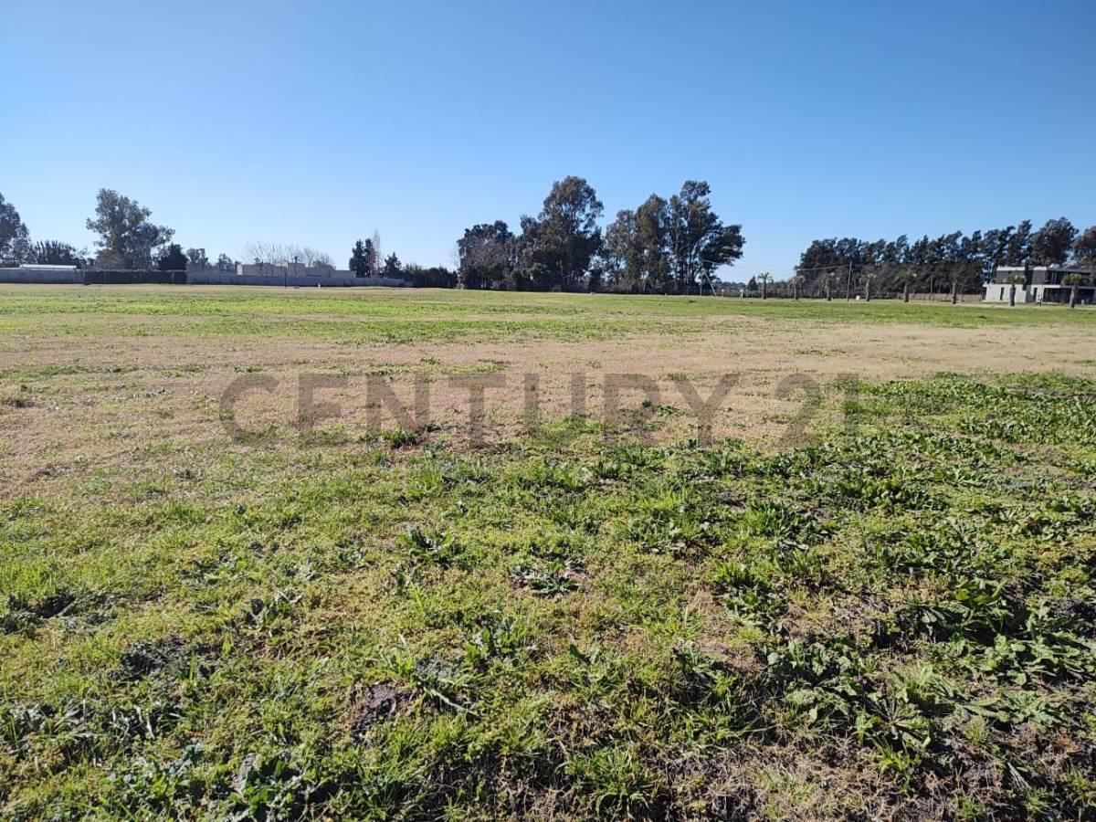 Lotes en venta en City Bell