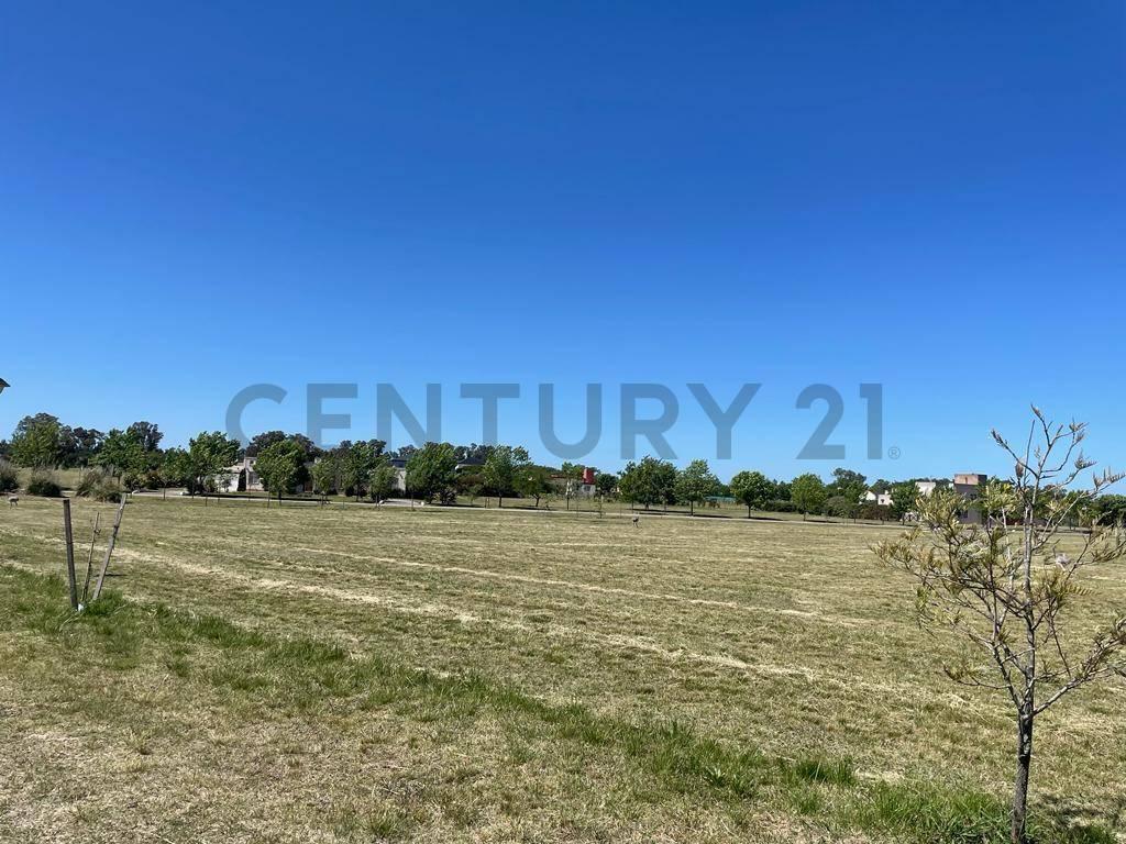 Lotes en Venta en Ruta 2, Club de Campo El Mirador 5