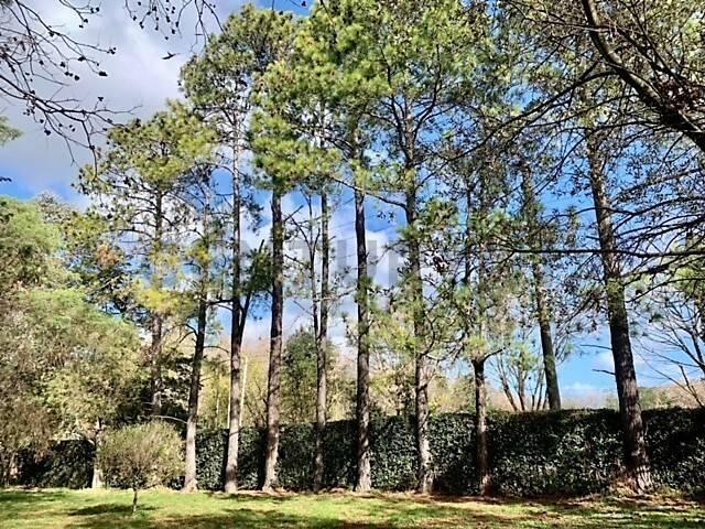 Lote en Villa Elisa 2