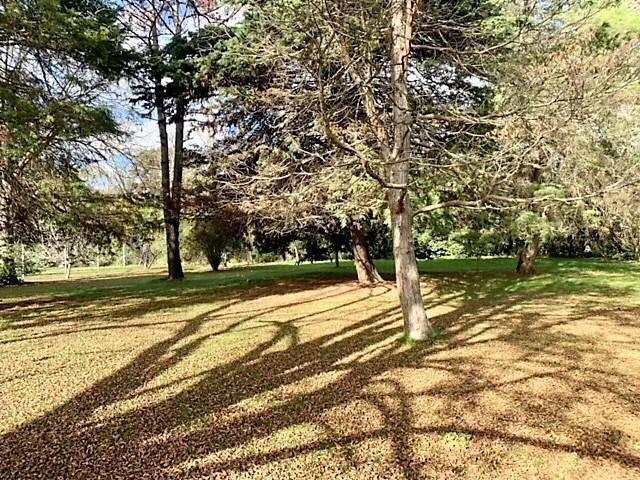Lote en Villa Elisa 1