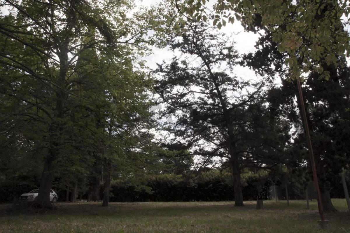Venta de Quinta en Villa Elisa, La Plata 5