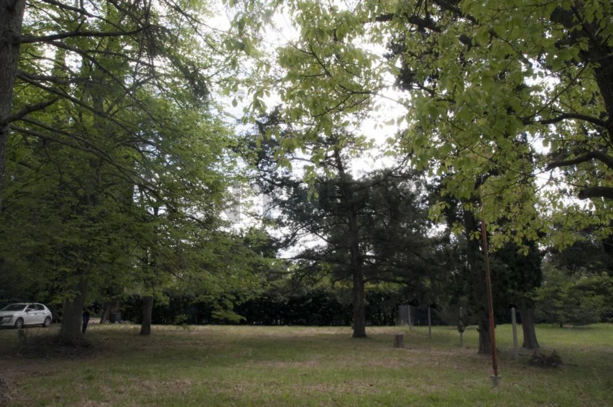 Venta de Quinta en Villa Elisa, La Plata 5